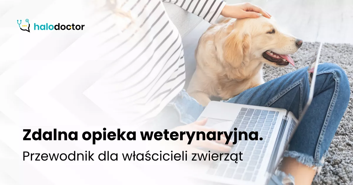 Zdalna opieka weterynaryjna. Przewodnik dla właścicieli zwierząt