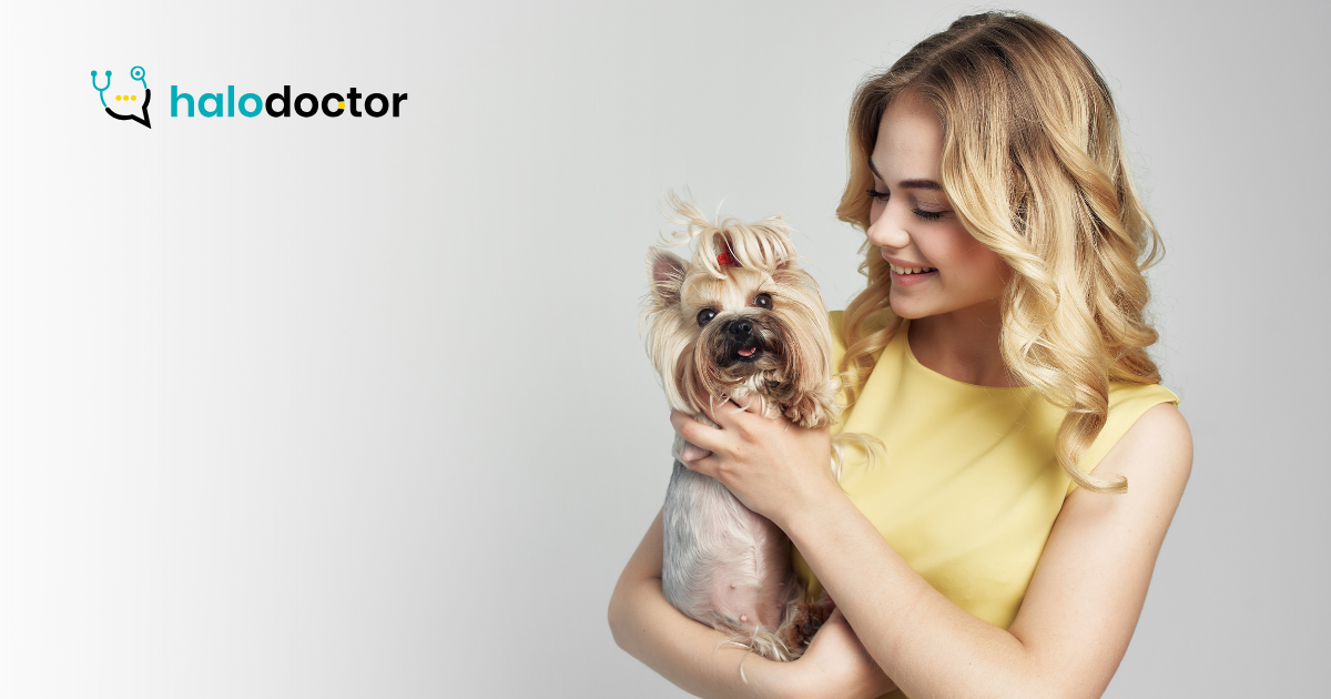 Wpływ obecności zwierząt domowych na zdrowie psychiczne dorosłych