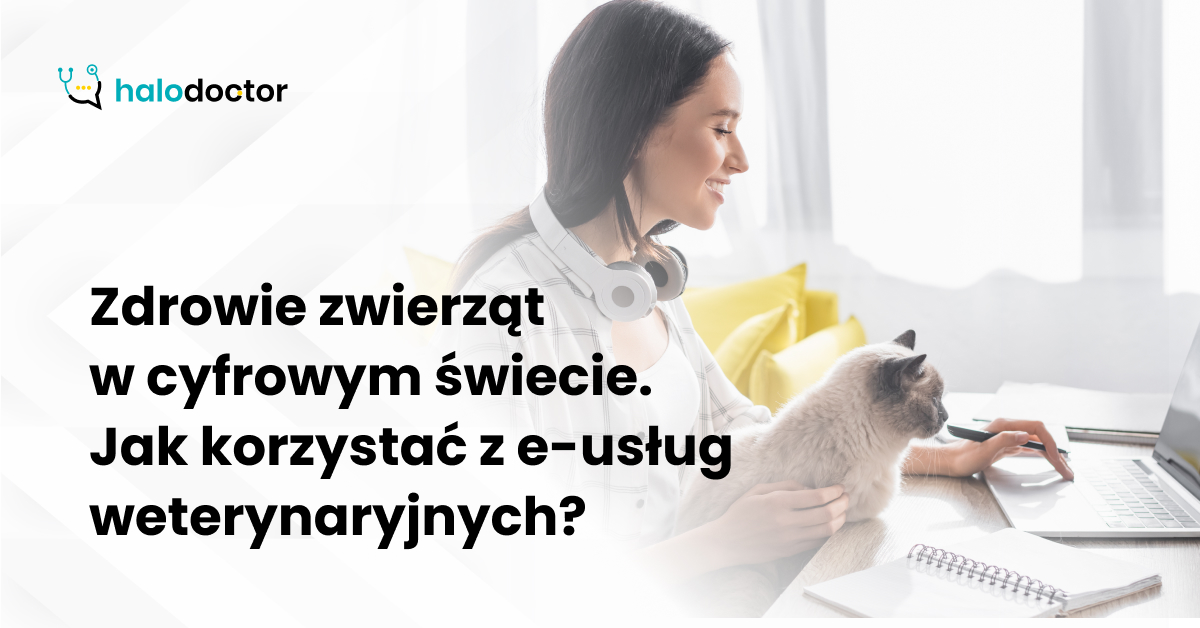 Zdrowie zwierząt w cyfrowym świecie. Jak korzystać z e-usług weterynaryjnych?